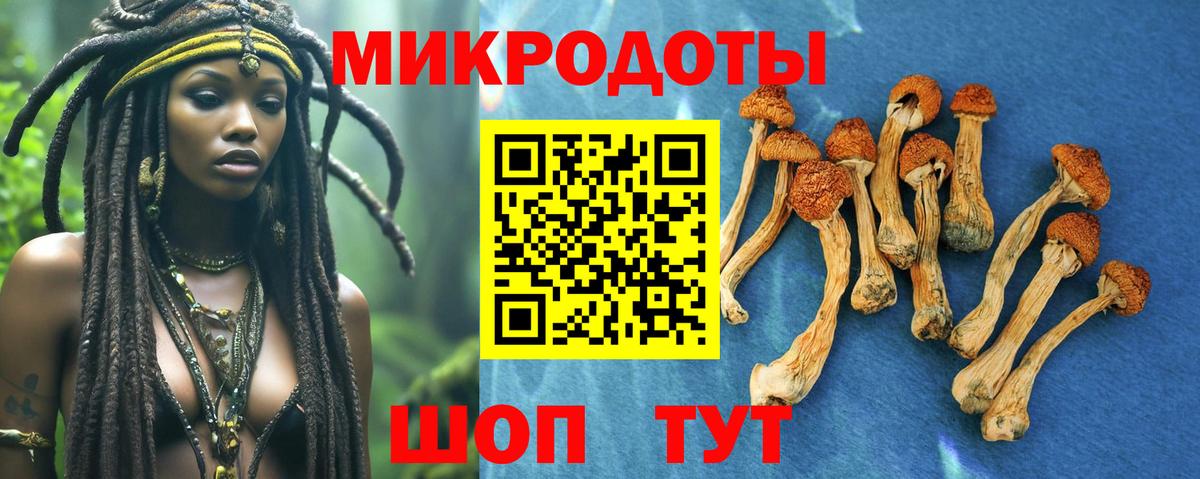 Галлюциногенные грибы мицелий Первоуральск